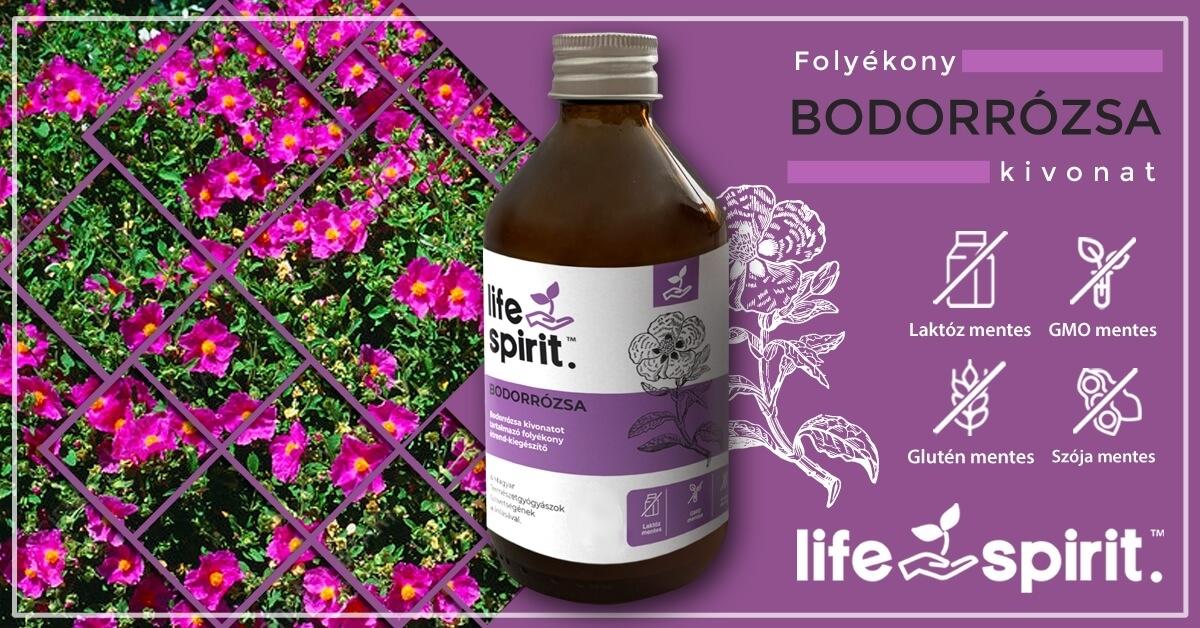 Lifes Spirit Bodorrózsa kivonat - ultrahangos technológiával kivonat hatóanyagokkal!