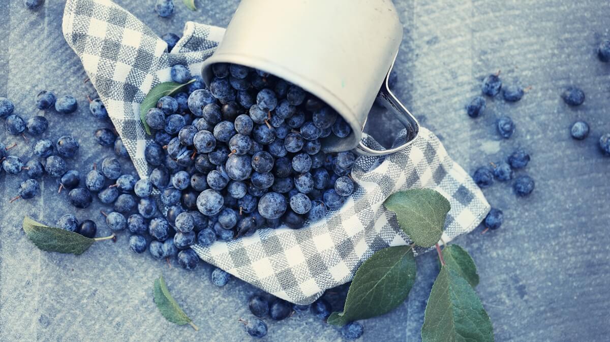 Fekete áfonya – természetes antioxidáns szemvitamin a látás támogatására