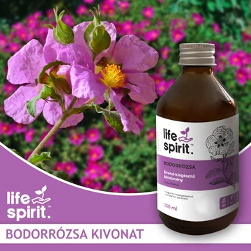 Life Spirit Bodorrózsa kivonatot tartalmazó folyékony étrendkiegészítő 250 ml
