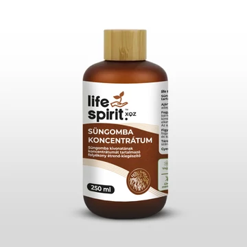 Life Spirit XQZ Süngomba koncentrátum 250 ml