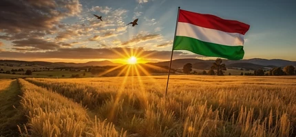 Büszkén magyar márka
